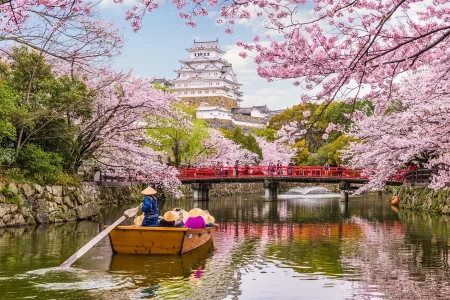 8N/9D Cherry Blossom Japan Tour Package
