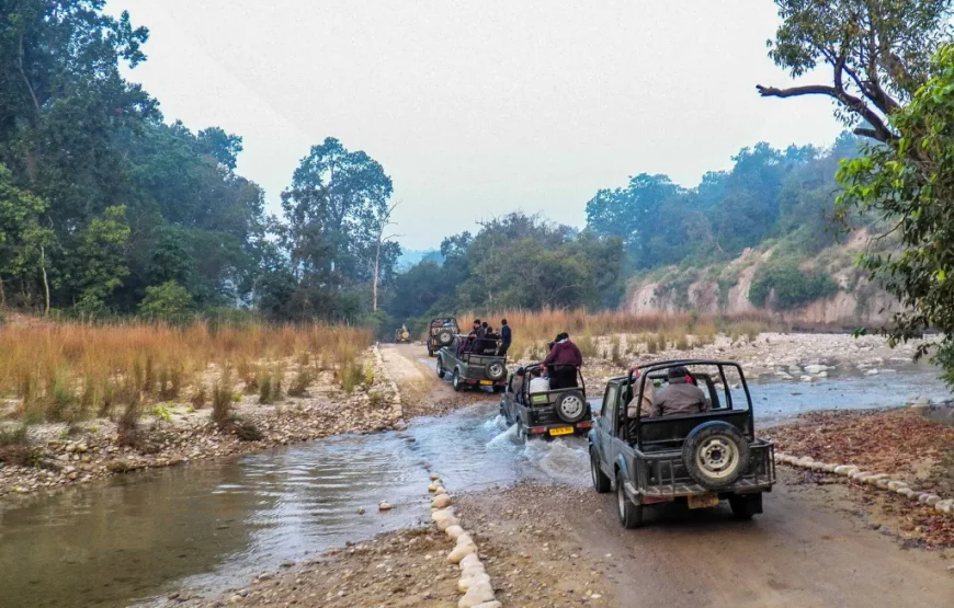 2N/3D Delhi To Jim Corbett Tour Package