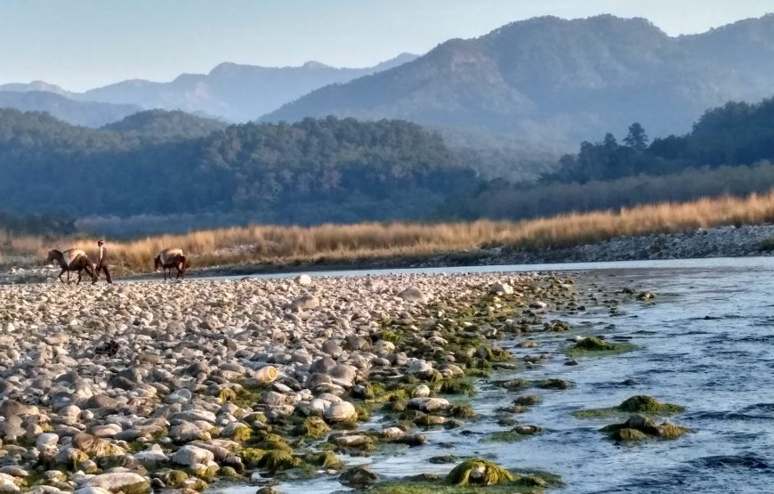 2N/3D Delhi To Jim Corbett Tour Package