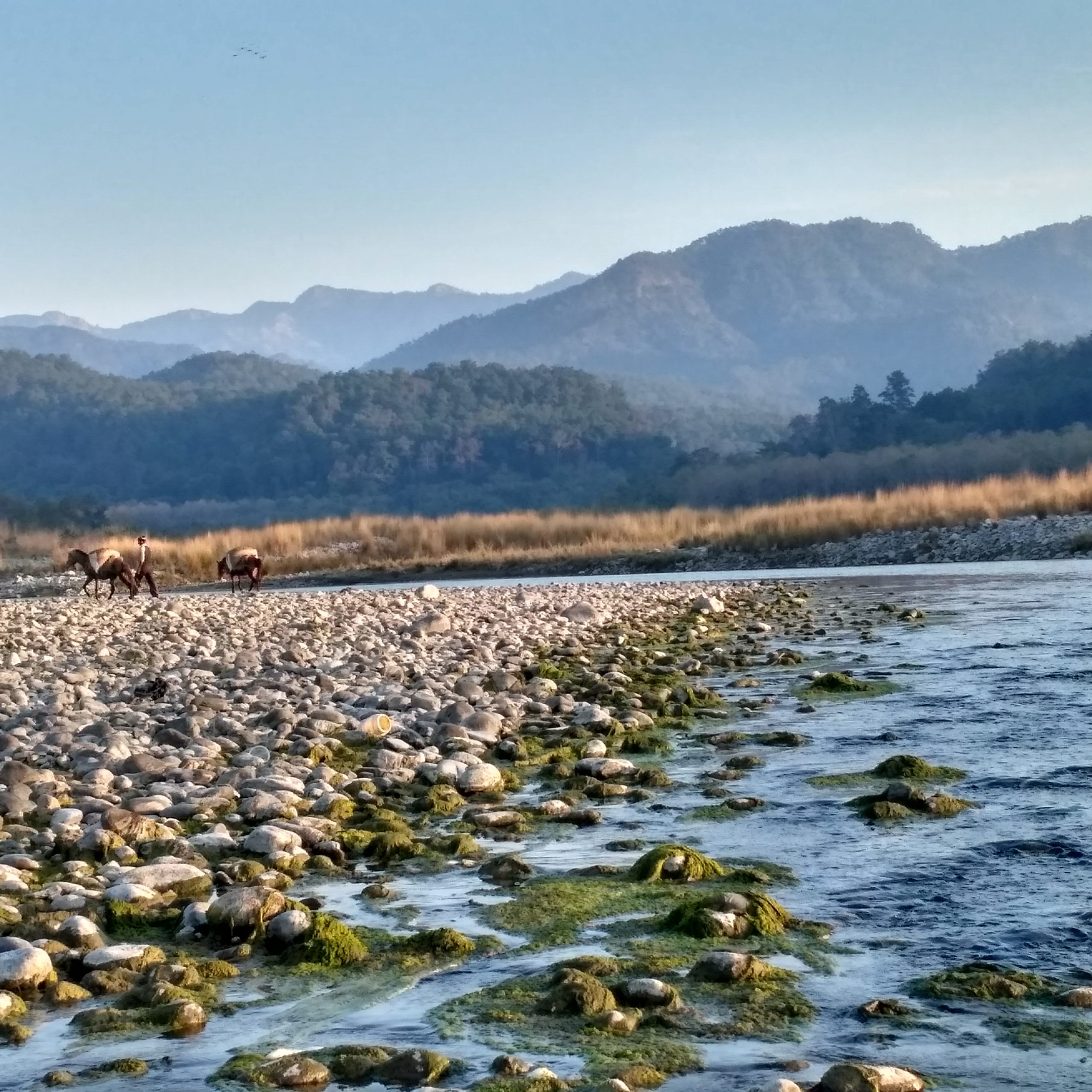 Day 2: Jim Corbett | Jungle Safari to the Land of Tigers