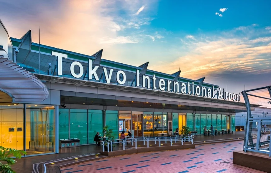 7N/8D Honeymoon in Japan Tour Package