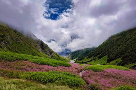 5N/6D Valley of Flowers Trek Tour Package