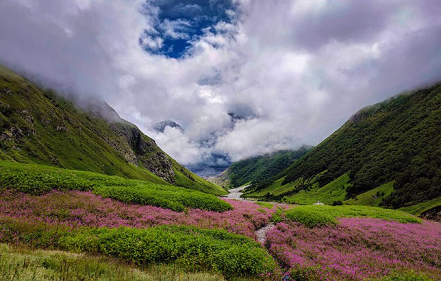 5N/6D Valley of Flowers Trek Tour Package