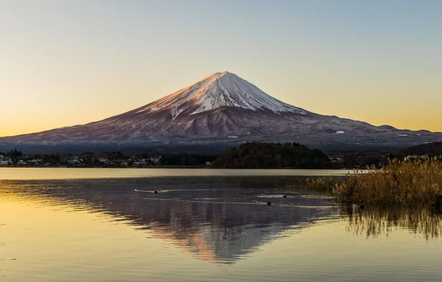 7N/8D Honeymoon in Japan Tour Package